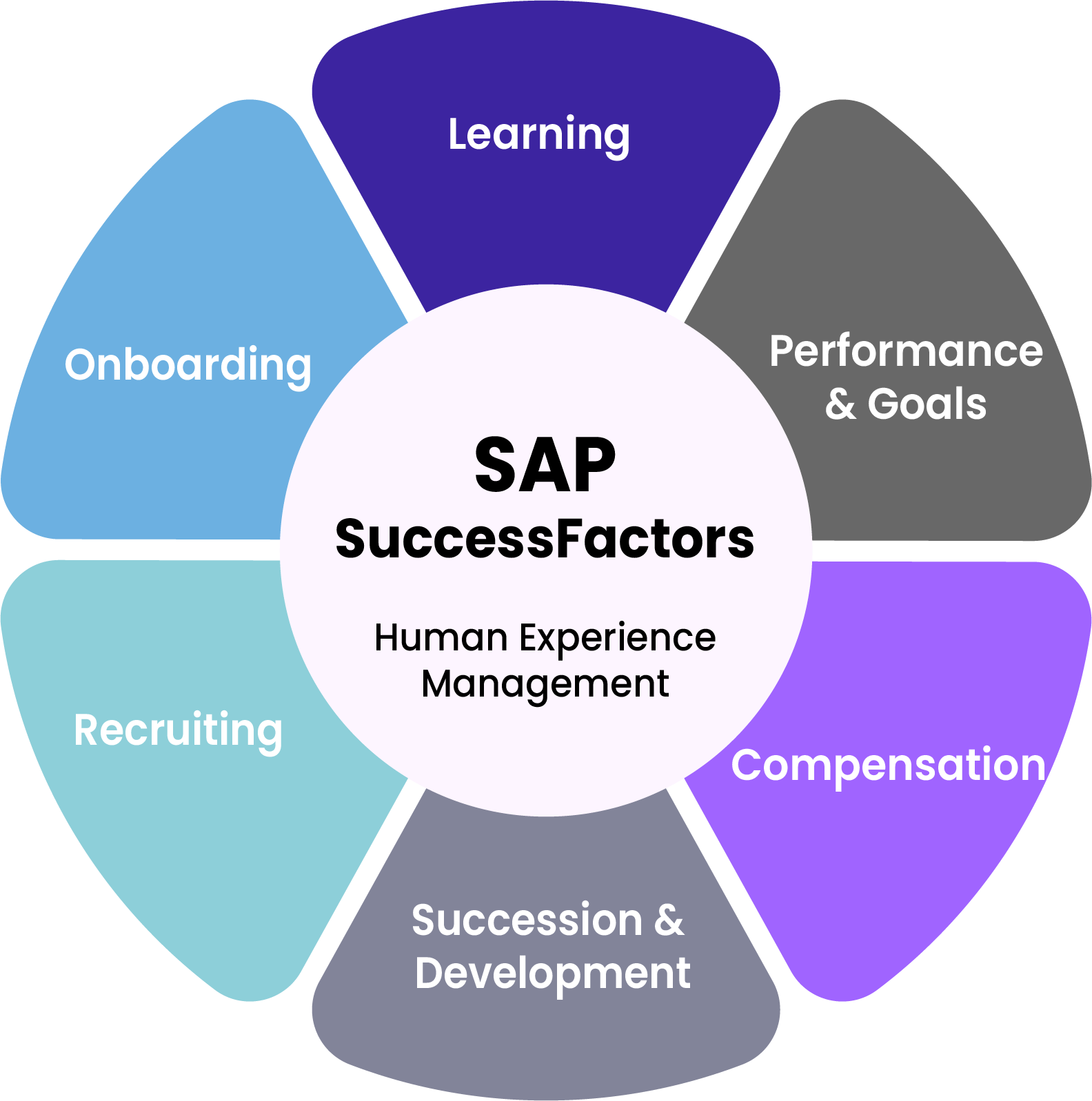SAP-successFactors-human-expertice-management
